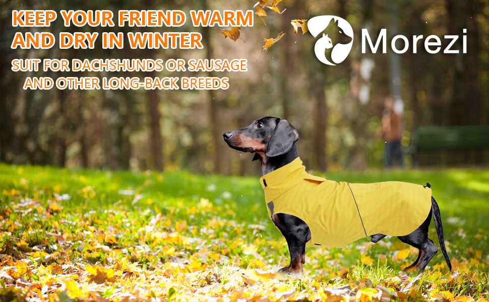 Водонепроникний дощовик для собак Morezi з відбиваючими смугами та захистом живота - Легко одягається (липучка) - для Такс та Коргі - Жовтий - XL X-Large (Обхват грудей: 55-58 см)