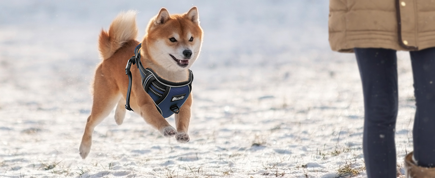 Шлейка для собак середніх порід Bluzelle з ручкою та кишенею для GPS-трекера, світловідбиваюча, зелена (XS, синій)