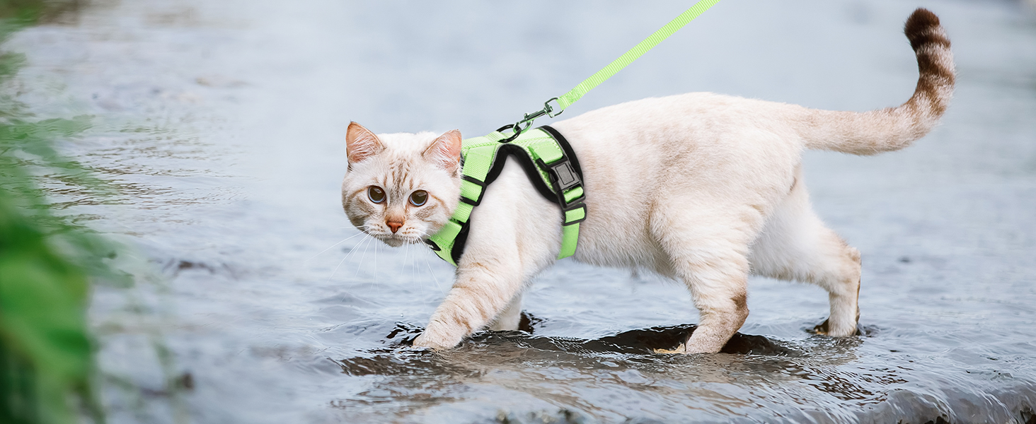 Шлейка для кота Rabbitgoo з повідком, м'яка, безпечна, регульована, зелена, розмір M (XXS, 1 шт.)