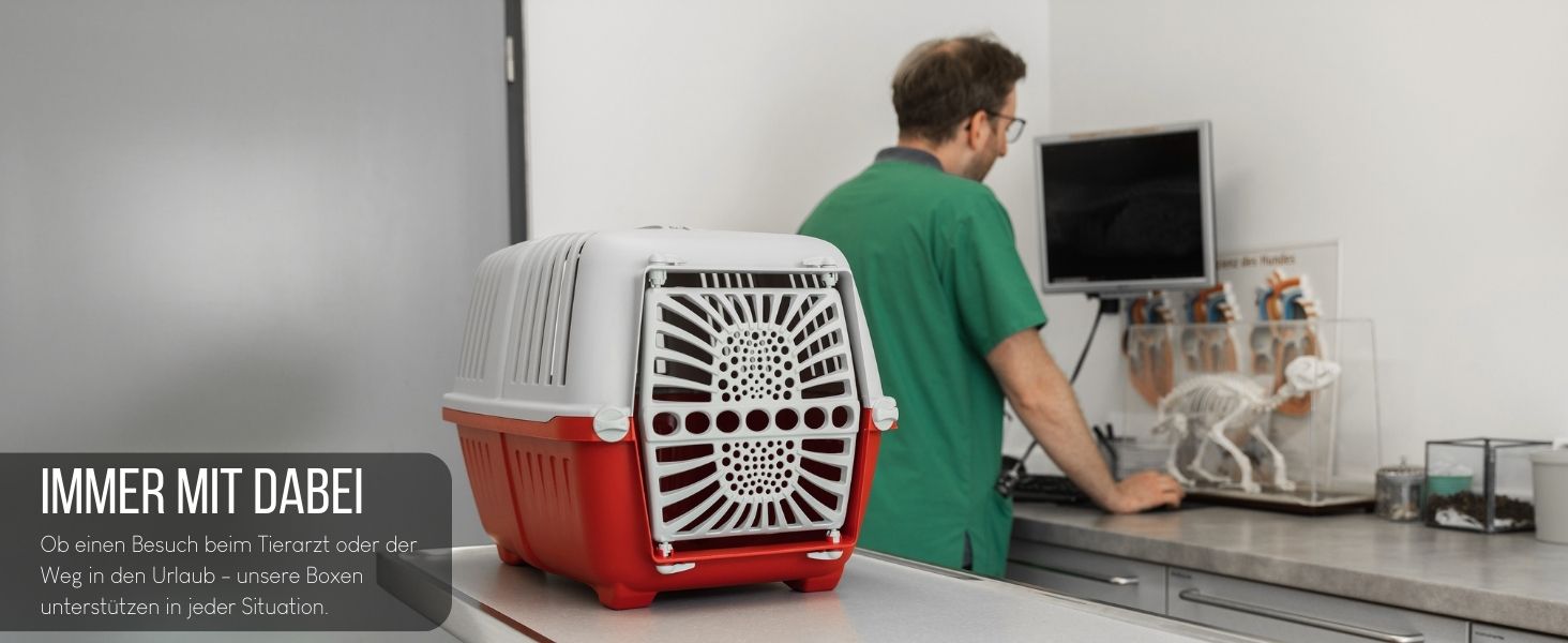 Транспортна переноска для собак Lionto, 55x36x36 см, сіра, для собак, котів та дрібних тварин до 15 кг, з ручкою та надійним замком