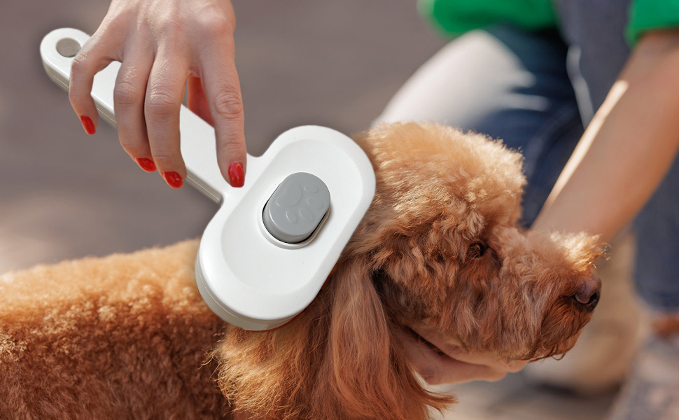 Набір для догляду за тваринами Okiki 3 в 1: щітка для собак і котів, ножиці для обрізання кігтів, гребінець від бліх – для довгої та короткої шерсті, сумісний зі шкірою