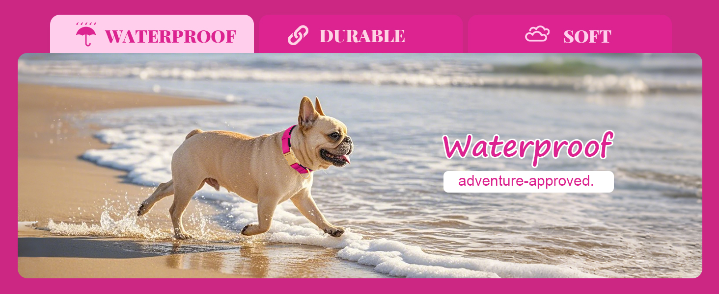 Нашийник для собак Didog з нейлону, м'який, з металевою застібкою-швидкої фіксації, чорний, розмір M (33-51 см)