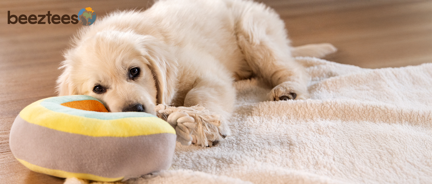 Ортопедичне ліжко для собак Beeztees Ito, сірого кольору, 109x69x5 см