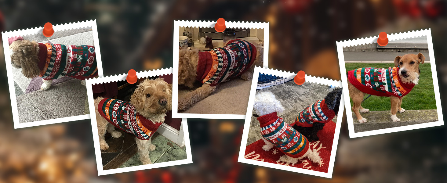 Пуловер для собак EXPAWLORER на Новий рік: теплий, модний, для маленьких, середніх та великих собак, XL X-Large