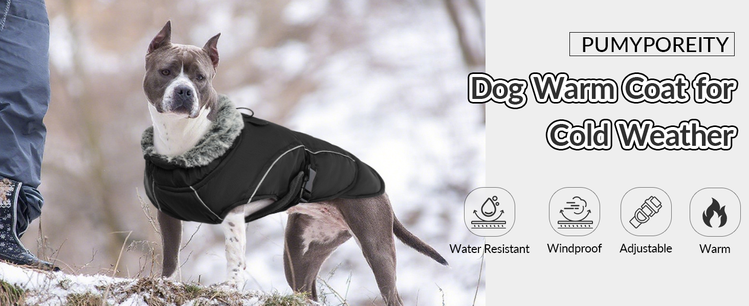 Зимовий теплий одяг для собак великих порід: куртка та пуловер (XXL, чорний)