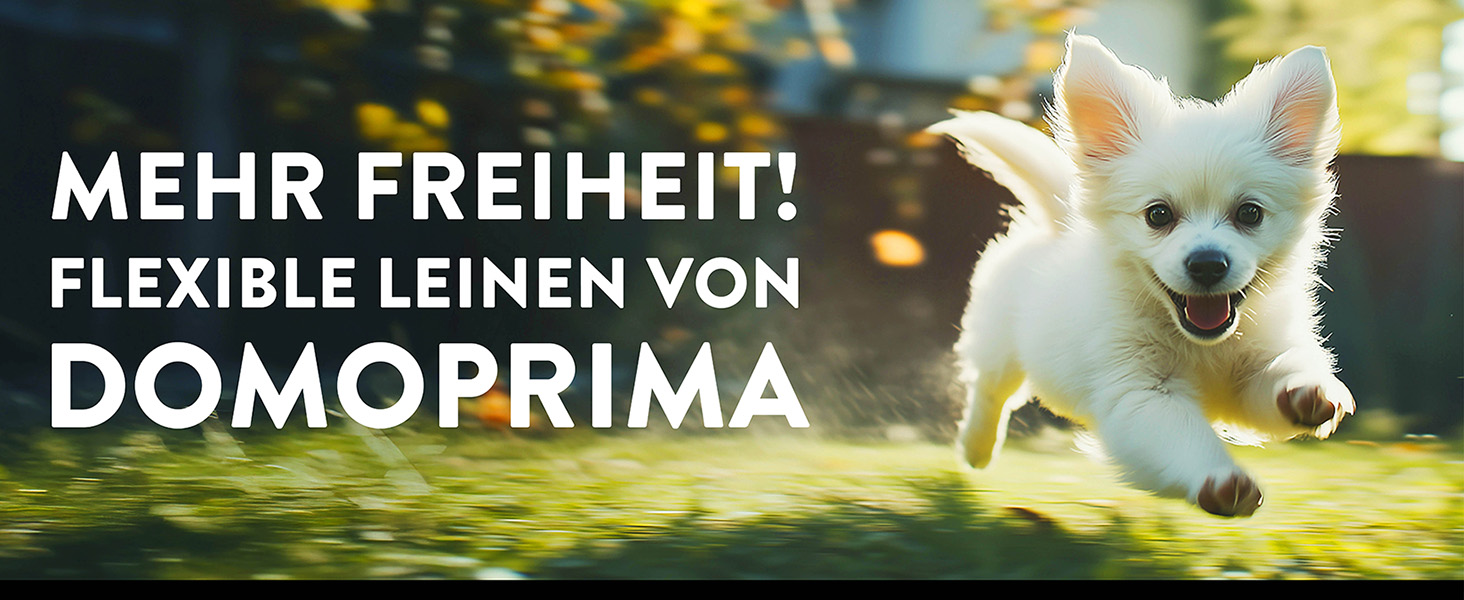 Рулетка для собак DOMOPRIMA, 3 розміри (S, M, L), 4 кольори (сірий, блакитний, зелений, рожевий) - Міцна та безпечна рулетка з відбиваючим ремінцем. Зелена, L