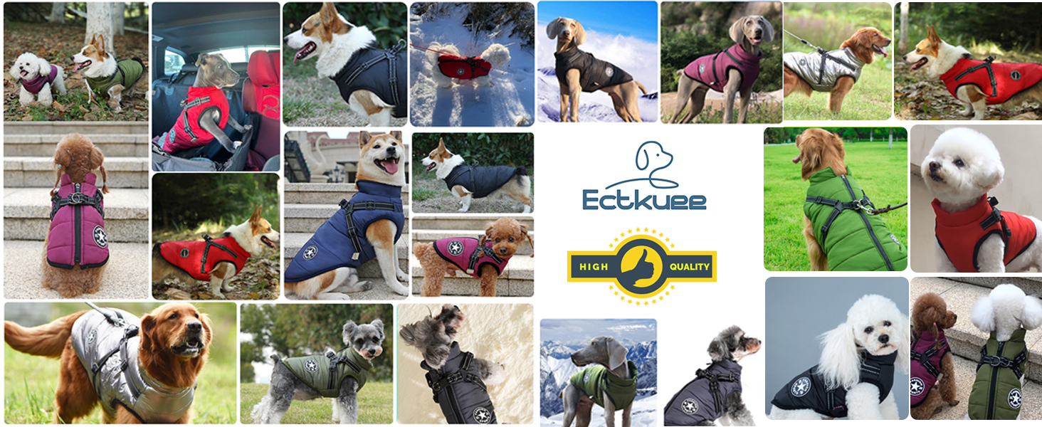Зимовий жилет для собак Ectkuee з кріпленням для повідка, водонепроникний, для маленьких собак, машинне прання, світловідбиваючий, зелений (L)