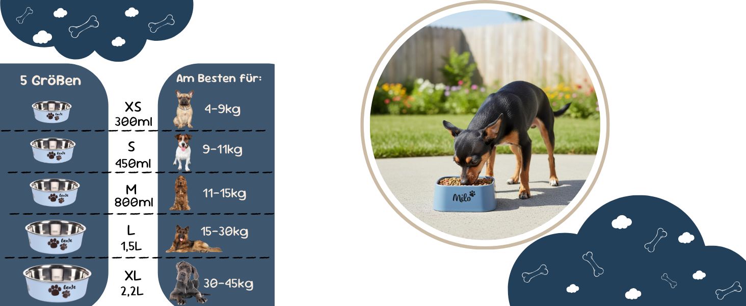 Миска для собак з нержавіючої сталі Petslino Hellblau XL, 2200 мл, з гравіюванням, антиковзаюча, для великих собак