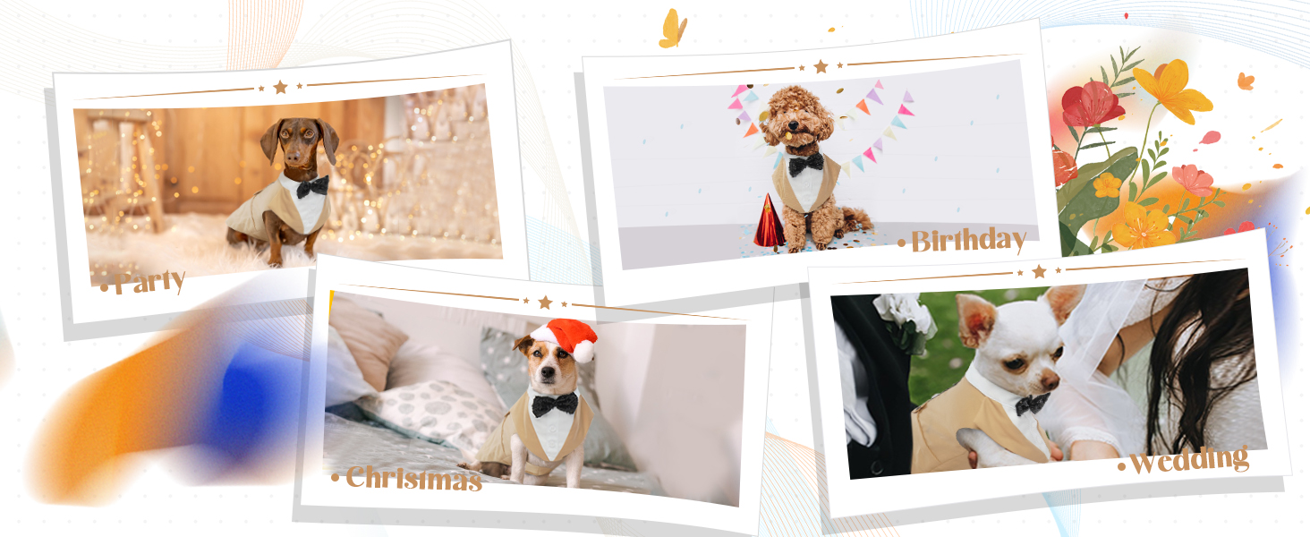 Костюм для собак