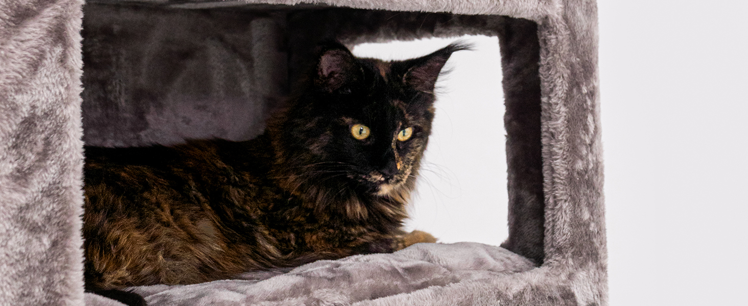 Драбина-будинок для котів Petrebels Parklane 175 см, з гамаком XXL, будиночком, диваном та товстими стовпчиками, колір капучино