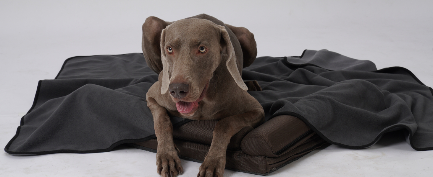 Водонепроникний плед для собак PETTOM 152x127 см, м'який плед для великих і маленьких собак, захисний плед для дивану, ліжка, автокрісла, меблів - 30°C, великий, синій