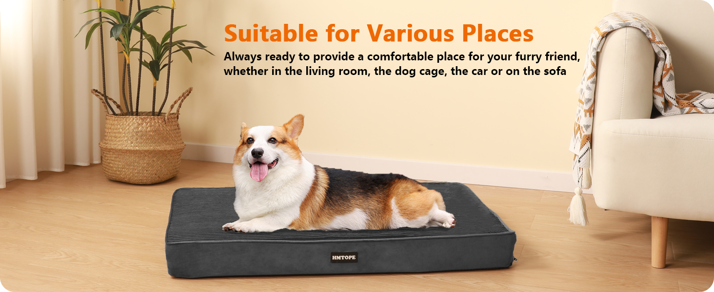Ортопедичне ліжко для собак HMTOPE, 9 см товщина, для середніх собак, знімний та пральний килимок, неслизьке дно, водонепроникне внутрішнє покриття, 91 см, темно-сірий, розмір 91 x 56 x 9 см