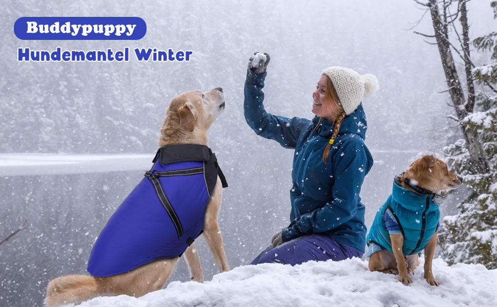 Водонепроникний зимовий одяг для собак, тепла куртка з отвором для повідка, великий розмір 4XL, блакитний колір