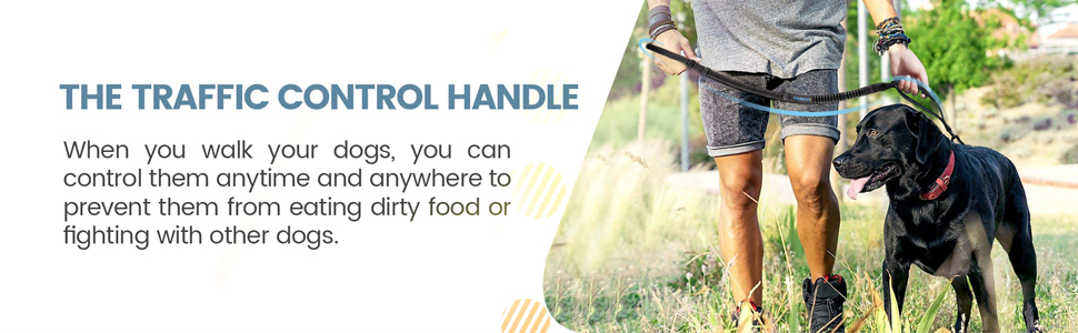 Нашийник для собак IOKHEIRA: регульований поводок (1,2-1,5 м) з безпечним кріпленням, м'який на дотик, з світловідбиваючими нитками (неоновий зелений, сливовий ліловий)