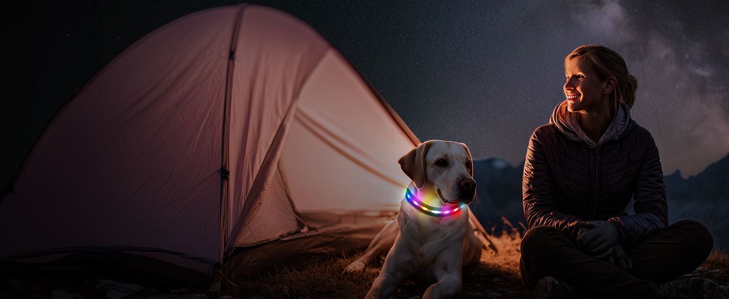 Світлодіодна нашийник для собак Feycig з USB зарядкою - водонепроникний, регульований, 3 режими, для малих, середніх та великих собак (Чорний, L(48-60см))