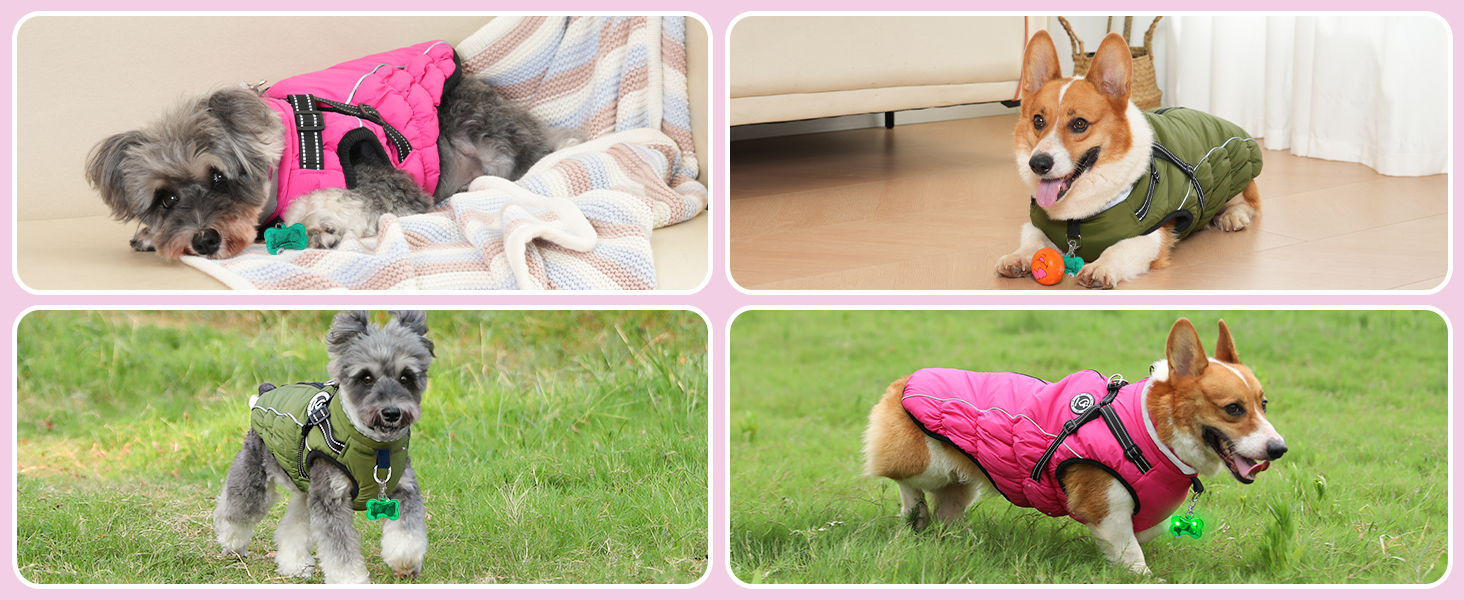 Зимовий одяг для собак, теплий водонепроникний одяг для собак з шлейкою, світловідбиваючі смуги, LED-ошийник, зимові куртки та одяг для маленьких та середніх собак, рожевий, розмір S