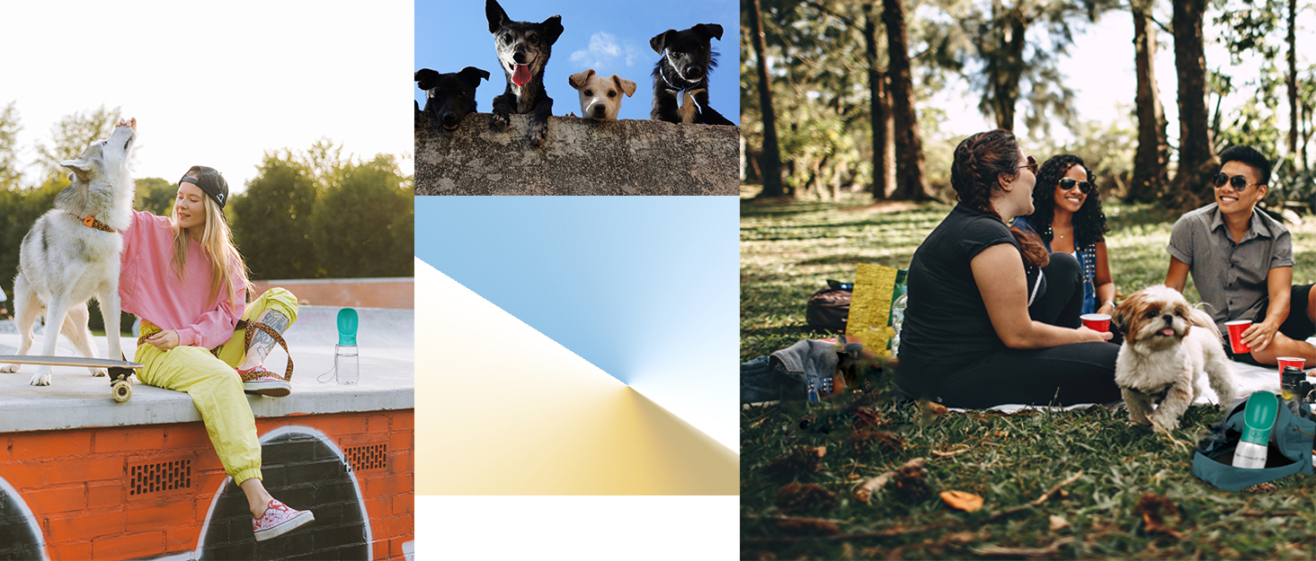 Турботрінка для собак на прогулянці, 550 мл, BPA-free, витоку, білий