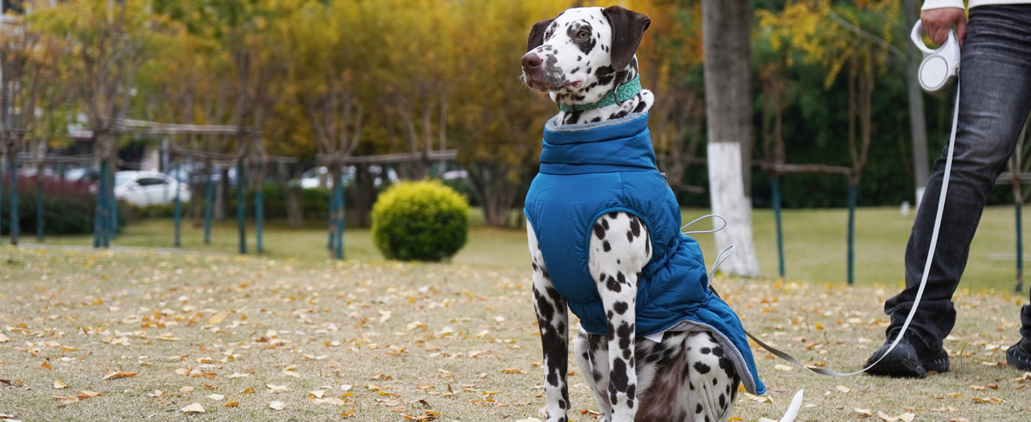 Водонепроникний теплий зимовий одяг для собак - куртка-манжетка з отвором для шлейки, камуфляж Olive Drab (3XL)