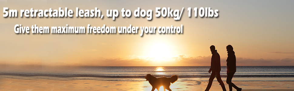 Висувна поводок для собак, 5 м, поводок-рулетка з ланцюгом, подвійний поводок для 2 собак, подовжений поводок для середніх та великих собак до 50 кг, білий та чорний, з пряжкою