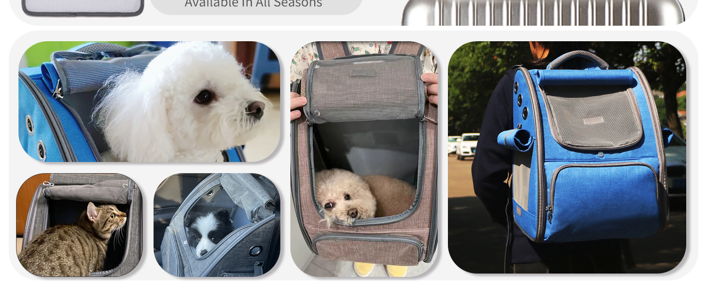 Рюкзак для собак та котів PETCUTE: дихаючий, складаний, для малих порід, сірий