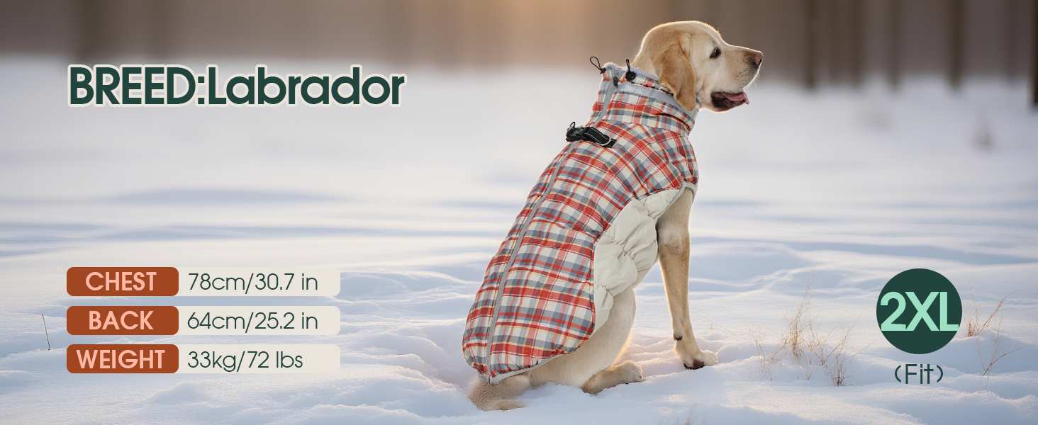 Водонепроникна куртка для собак великих порід Kuoser, тепла зимова жилетка для собак, чорна, XL