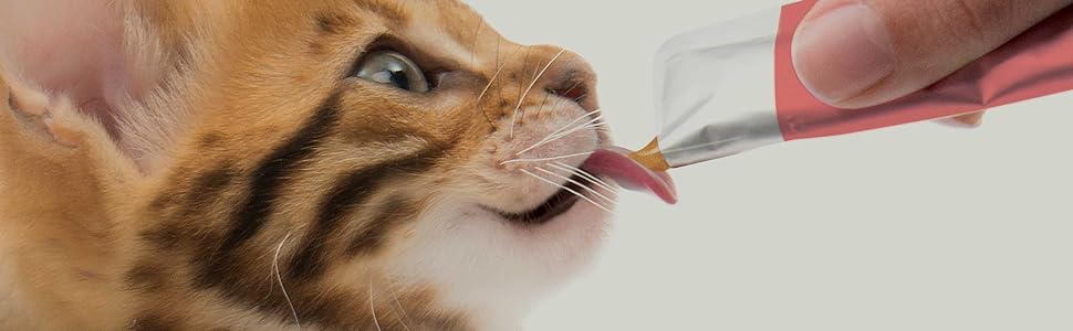 Кігтеточка Catit Kratzpappe Lounge S-подібної форми з картону та котячою м'ятою