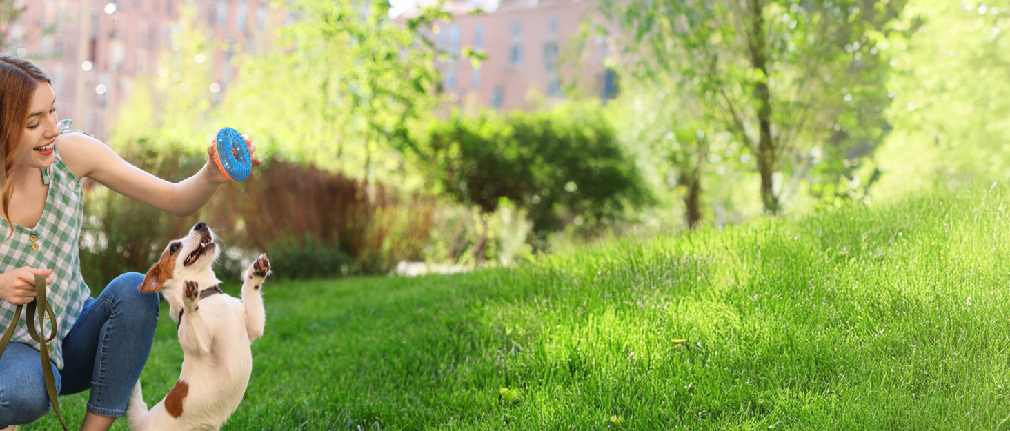 Щітка для собак Zolux ANAH з подвійним стріжнем, 39 зубців - проти ковтунів та випадаючого волосся