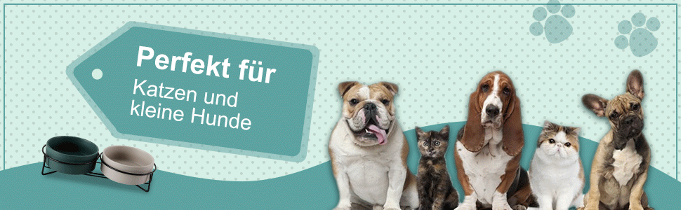 Набір мисок для котів PETTOM з підставкою (2 шт.), кераміка, захист шиї, зелений + сірий