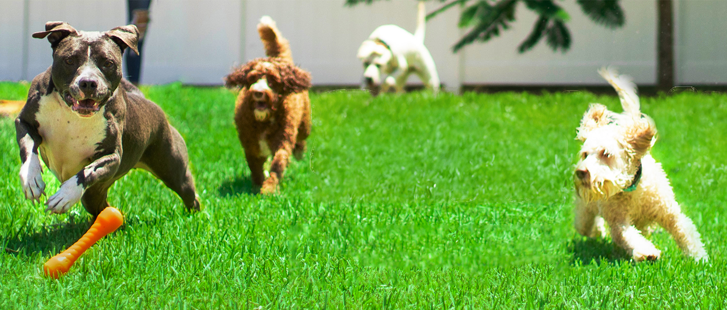 Водонепроникна тепла жилетка для собак великих та середніх порід - тепла жилетка для собак у холодну погоду, чорна, 5XL