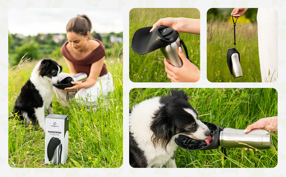 Водяна пляшка для собак Sogoro 700 мл - не протікає, з нержавіючої сталі - портативна, для всіх порід
