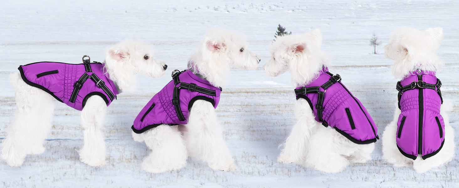 Водонепроникний теплий зимовий теплий куртка для собак та котів. Зелений, на блискавці