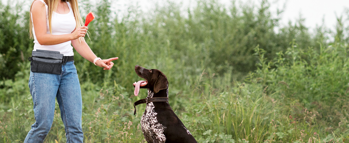 Сумка для ласощів для собак Brifit з магнітною застібкою, для тренувань, з регульованим поясом, знімною внутрішньою кишенею та дозатором для відходів, 22 x 19 x 3 см