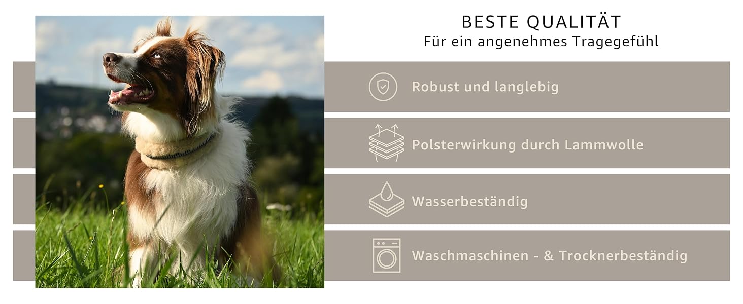 Інноваційний нашийник для собак CHRIS з ланолінової вовни, зменшує випадіння шерсті, з підкладкою, світловідбиваючий, регульований, для собак малих, середніх та великих порід, розміри M (35-45см), L (45-55см), XL (55-65см), колір антрацит