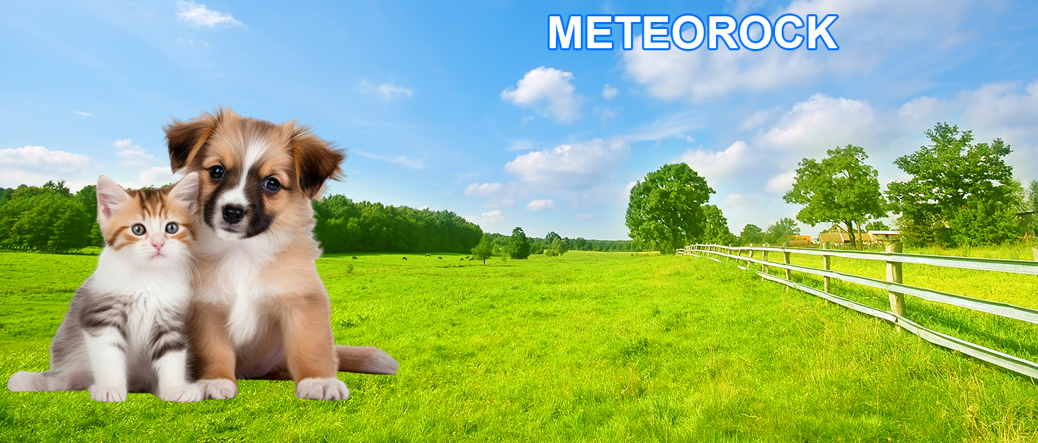 Підкладка під миску для собак та котів METEOROCK, 71x43 см, чорна, швидковисихаюча, для кількох тварин