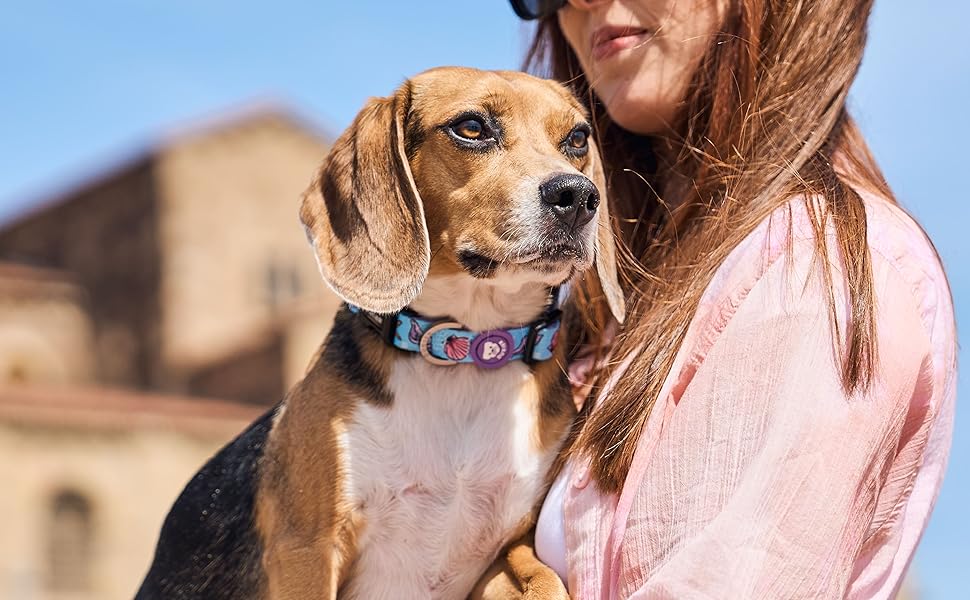 Нашийник для собак DUKIER, регульований, з неопрену, міцний, дизайн New York, розмір XS