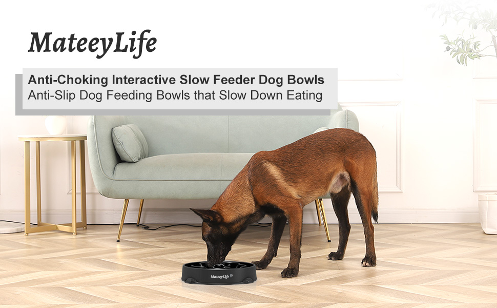 Миска для собак MateeyLife Slow Feeder - повільна годівниця, синій/темно-синій, середня