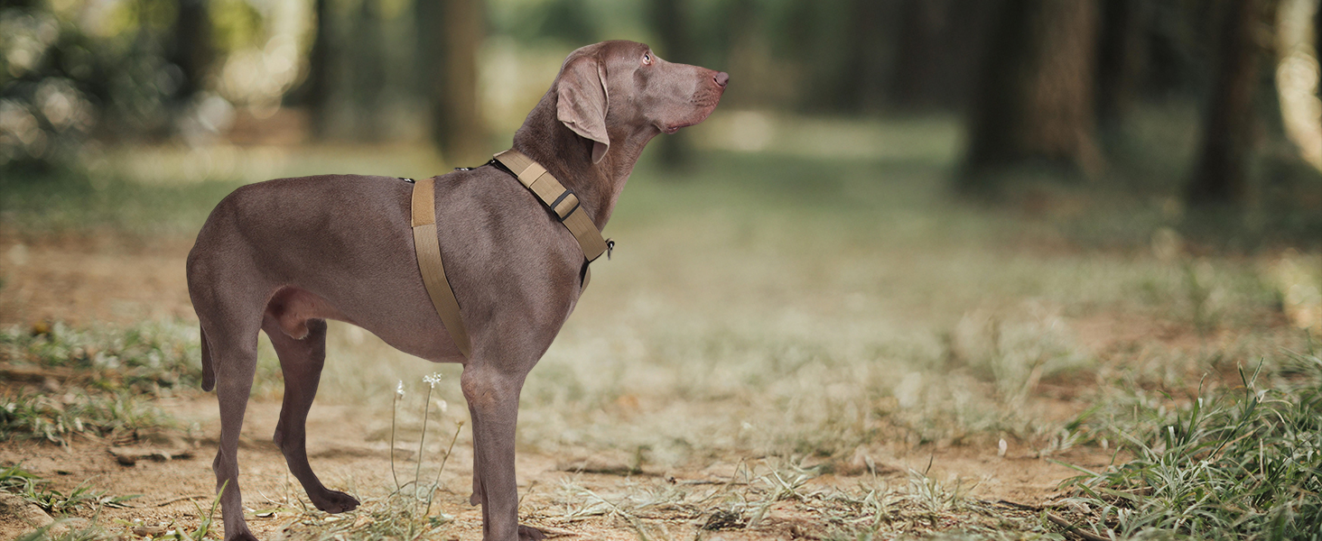 Шлейка для собак FEimaX для великих собак, тактична, не тягне, чорна, XL. Зручна, дихаюча, міцна, з м'якою підкладкою