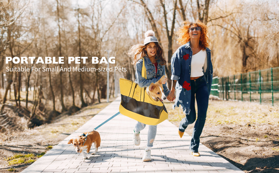 PETCUTE Сумка-переноска для тварин, дихаюча, з поводком, складана, для котів та собак, зелена
