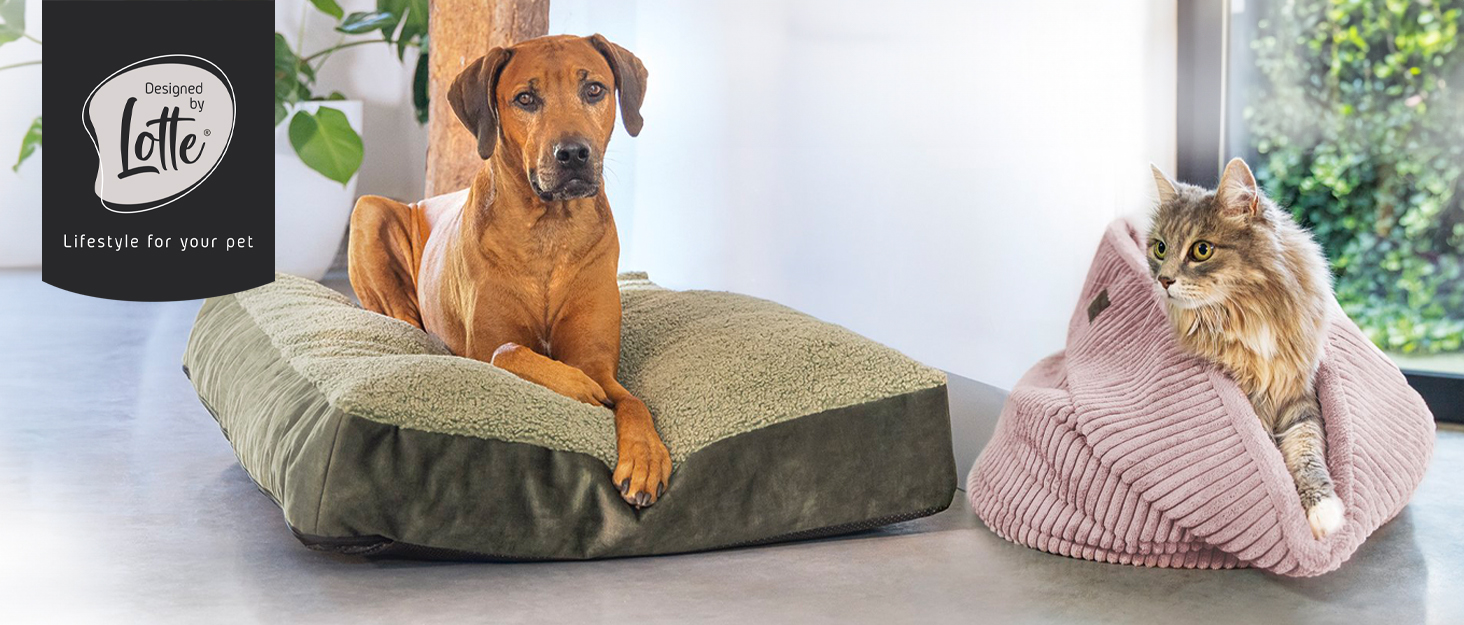 Миска для собак Lotte Riboco, кераміка, 16x16x5 см