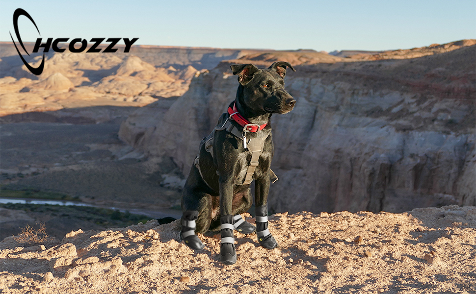 Водонепроникні собачі чоботи з неслизькою підошвою та світловідбиваючими смугами. Чоботи для собак з міцної шкіри та гумової підошви, захист лап для собак маленьких, середніх та великих порід. 4 шт. (Розмір L, Чорний)