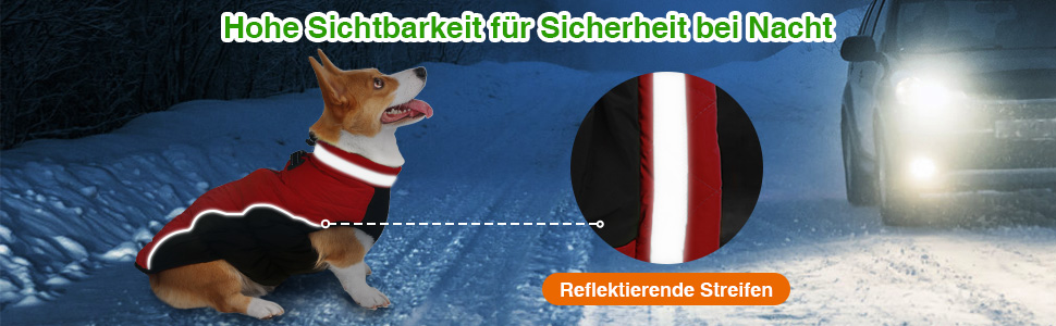 Зимова куртка для собак, водонепроникна, тепла, м'яка, вітрозахисна. З облаштуванням для повідка, світловідбиваюча, з блискавкою та регульованою застібкою. Для малих та середніх собак (Зелений, XL)