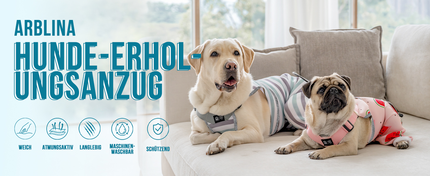 Комбінезон для собак після операції, дихаючий, для задніх лап, синій, XS (довжина спини 27-32 см, довжина лап 15 см)