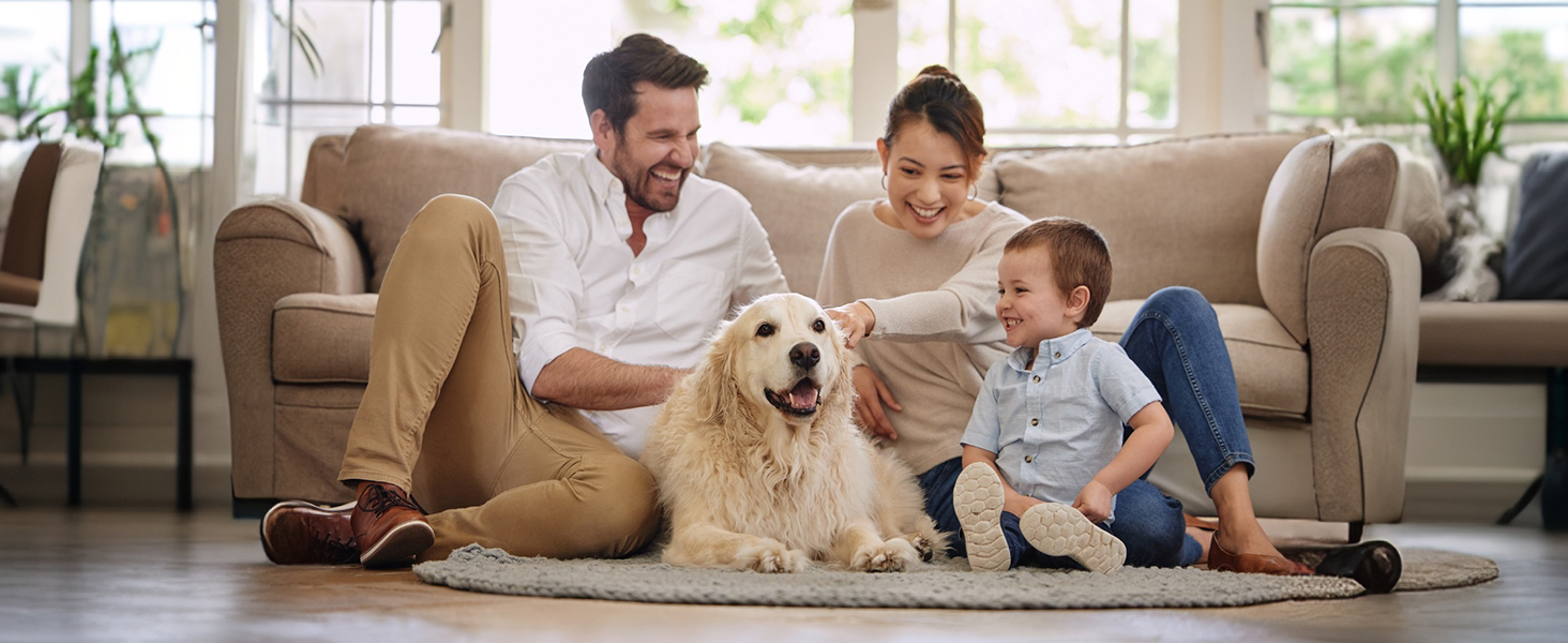 Електричний точило для собачих кігтів Toozey Krallenschleifer: 3 швидкості, LED-підсвітка, для середніх та великих собак (жовтий)
