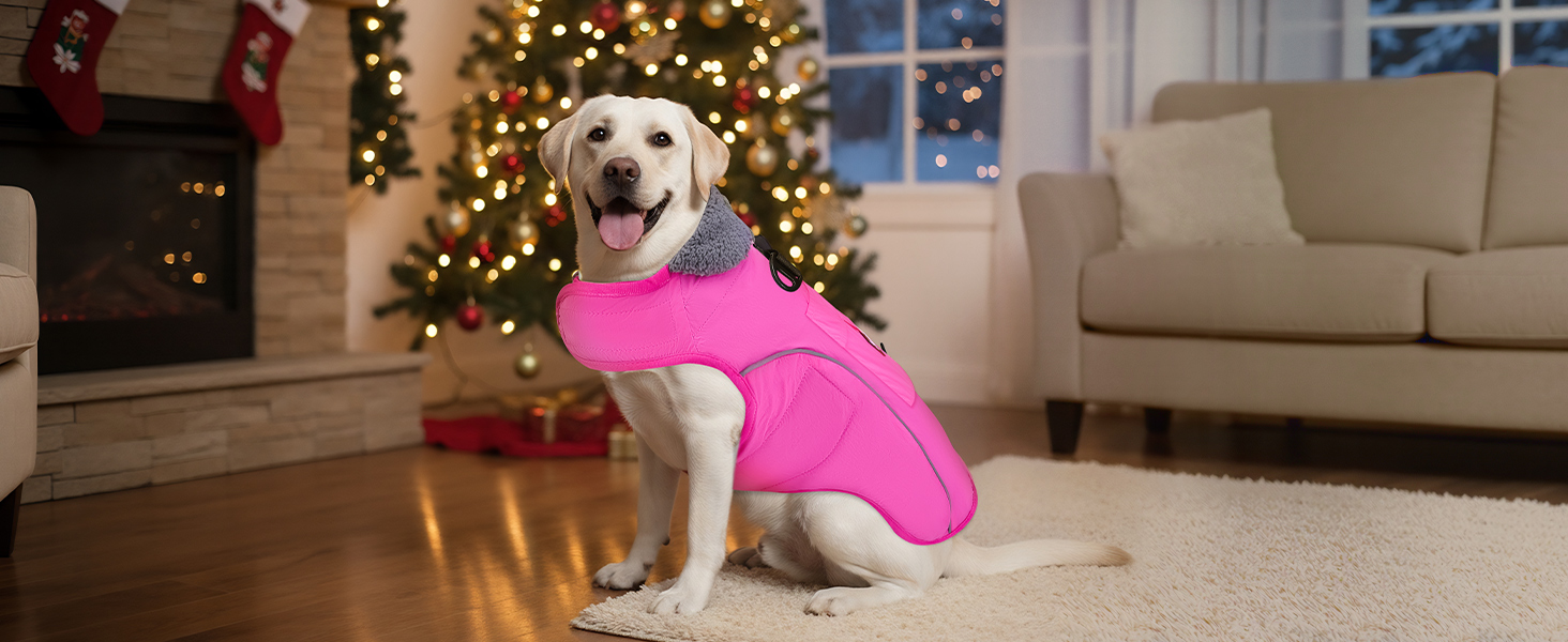 Зимовий одяг для собак: водонепроникна та вітрозахисна флісова куртка з кільцем D та кишенею, світловідбиваюча жилетка для середніх собак, блакитна, розмір L