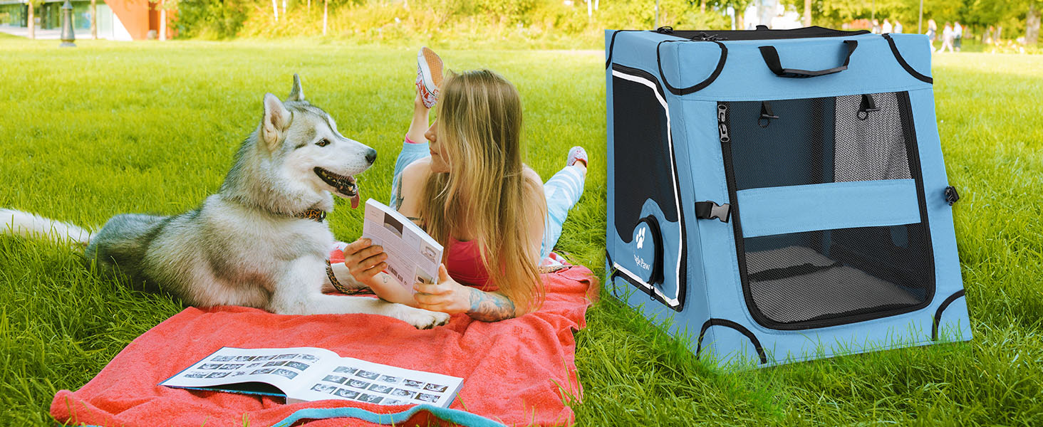 Складана переносна переносна коробка для собак Snagle Paw, стабільна переносна коробка для заднього сидіння автомобіля з підголовником, металевий каркас, переносна коробка для задньої частини автомобіля для середніх/великих собак, переносна коробка з сітчастими дверима та м'якою оббивкою, середній розмір (63 см Д * 48 см Ш * 53 см В)