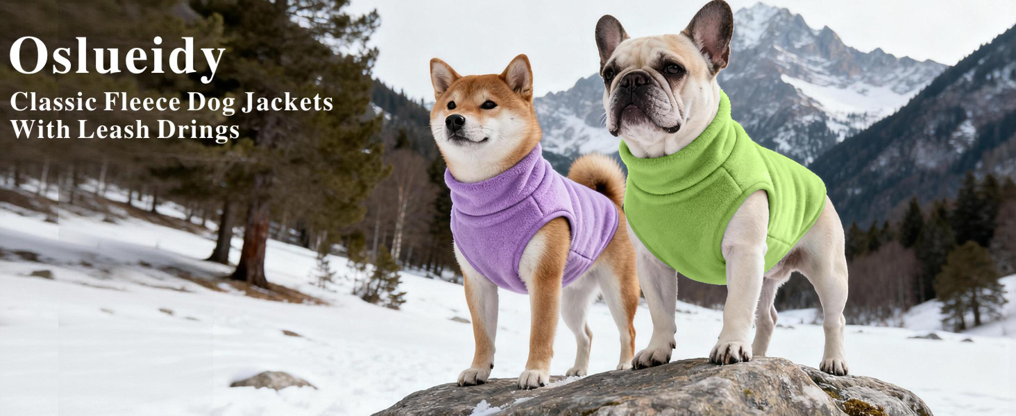 Теплий зимовий одяг для собак: куртка, пуловер, худі, комбінезон з флісу для малих, середніх та великих собак XS-XXL (зелений, S)