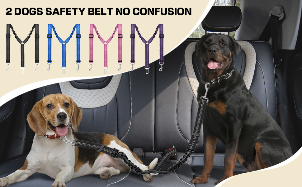 Авторемень для собак у машину, еластичний, з подвійним кріпленням, регульований (блакитний)