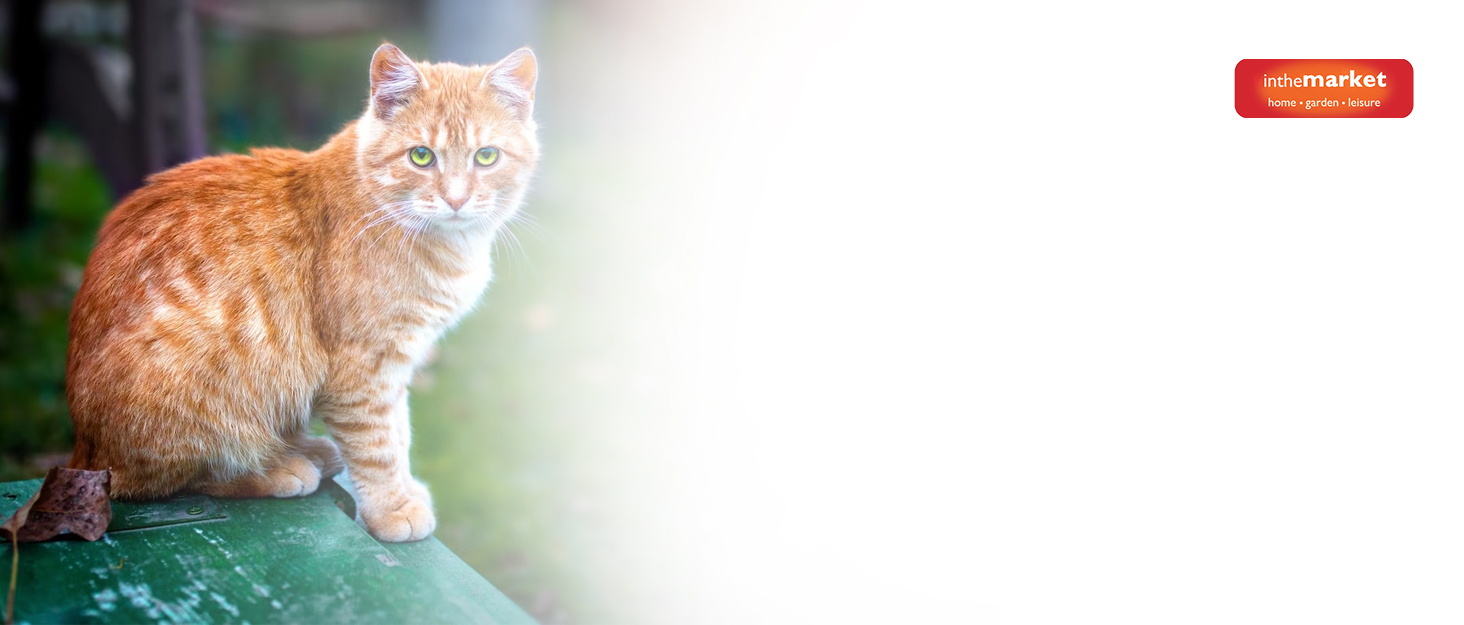 Кітложка InTheMarket з великим вольєром, повністю закрита, багатоповерховий будиночок, міцна конструкція, асфальтовий дах, 190 x 84 x 175 см