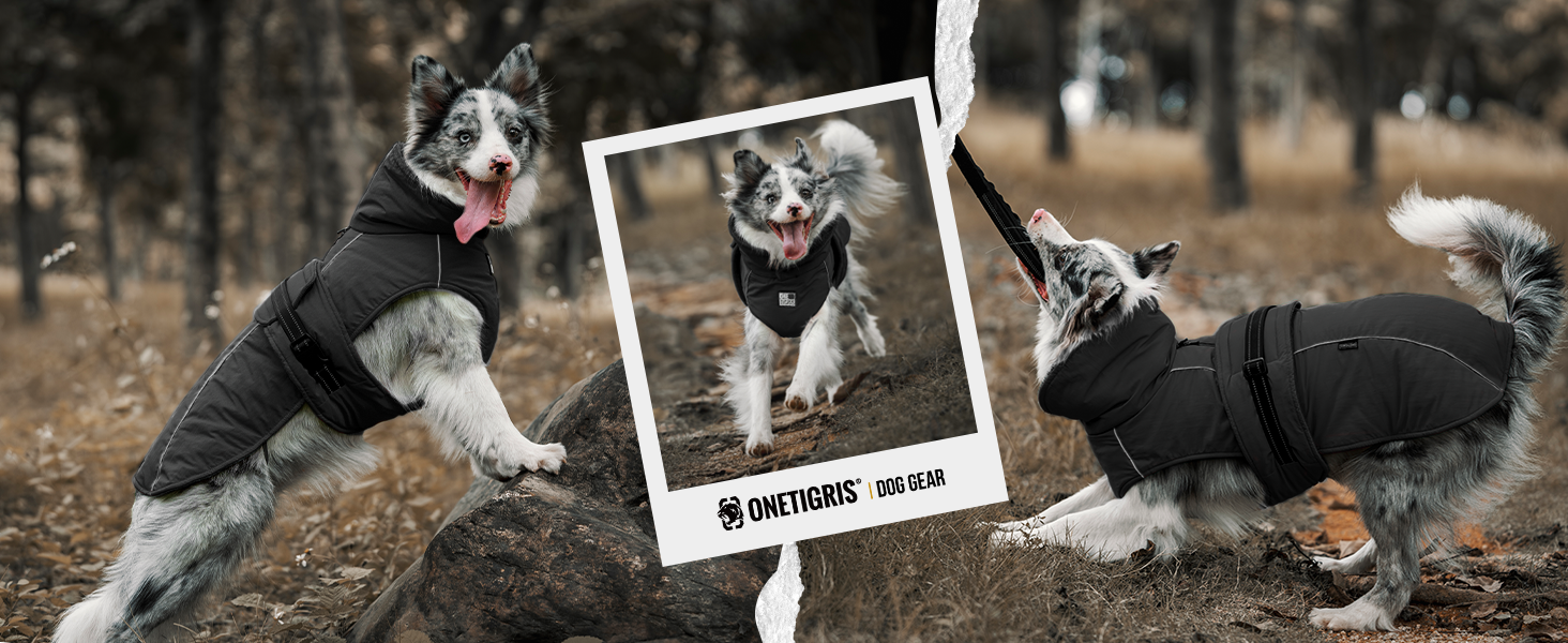 Водонепроникний собачий одяг OneTigris STORMWALL для великих собак, чорний, з флісовою підкладкою та регульованою довжиною, з відбиваючими елементами та коміром з хутра, для прогулянок на природі, розмір L (27-41 кг)