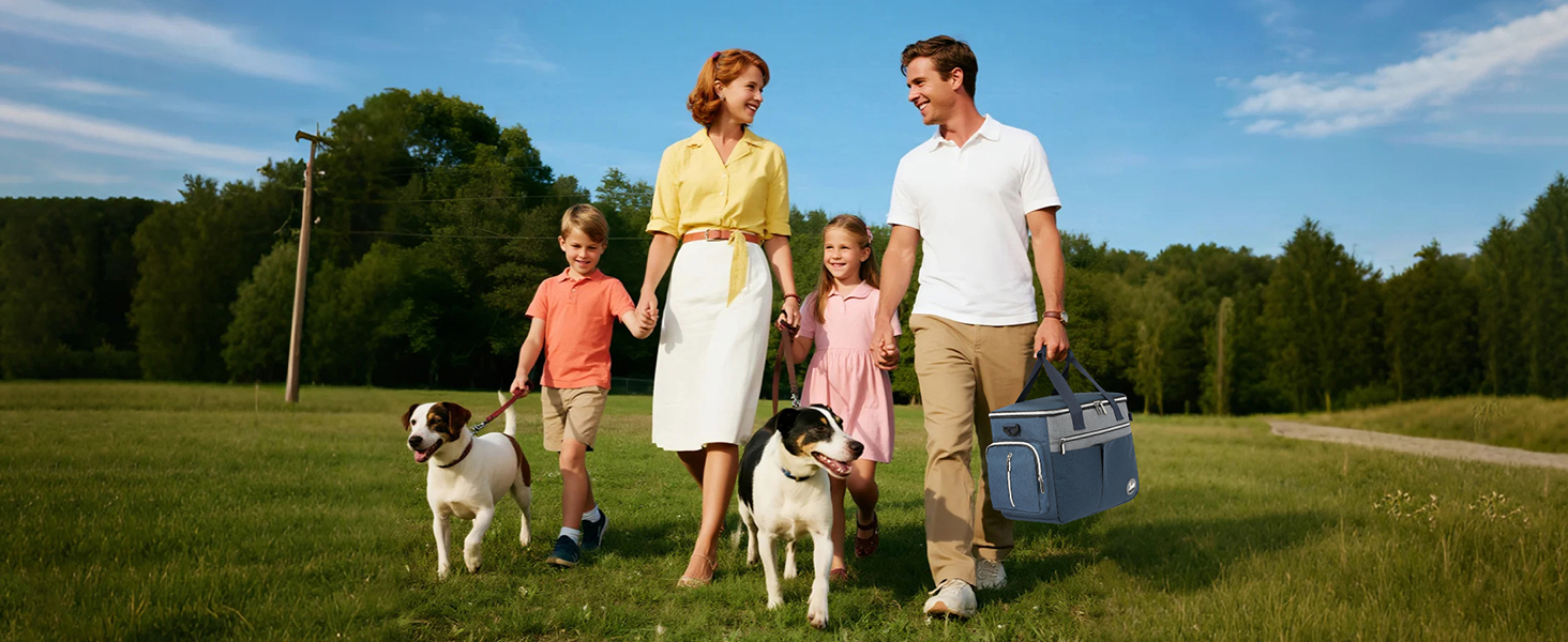 Сумка для собак TAIHOYIN: подорожі літаком, аксесуари для собак, 2 миски, килимок, сумка для ласощів, зелено-чорна